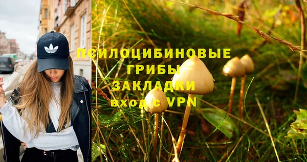индика Алзамай