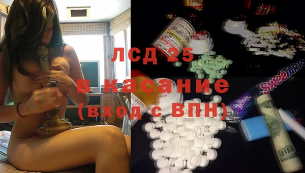 индика Алзамай