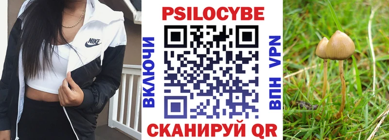 как найти   Отрадная  Галлюциногенные грибы Cubensis 