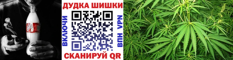Бошки марихуана OG Kush  omg сайт  Отрадная 